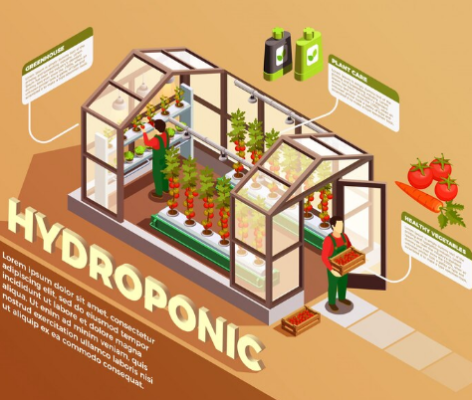 hydroponic