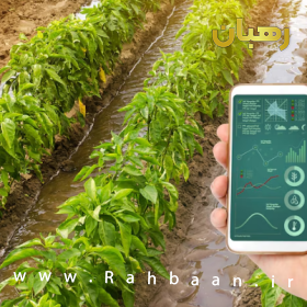 11zon plant sensing2 280x280 1