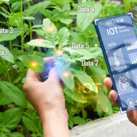 iot4 280x280 1 11zon